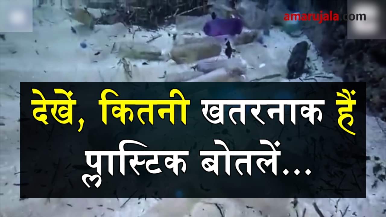 प्रतीकात्मक तस्वीर