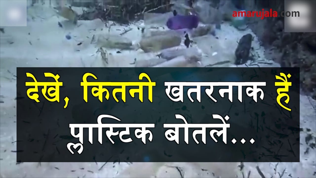 प्रतीकात्मक तस्वीर