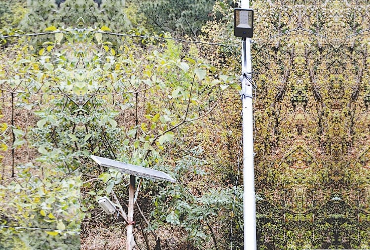 MC Dharamshala installed 15 street lights at ministers home