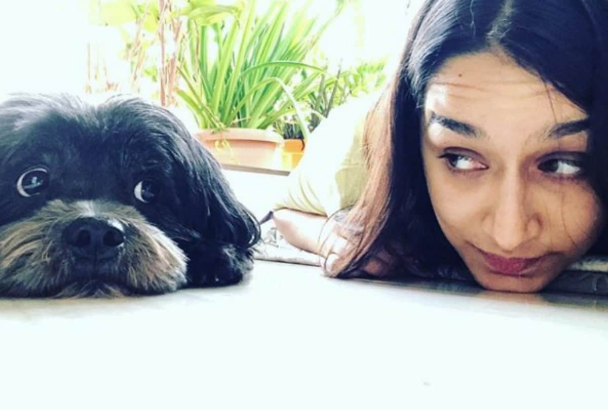shraddha kapoor fans angry