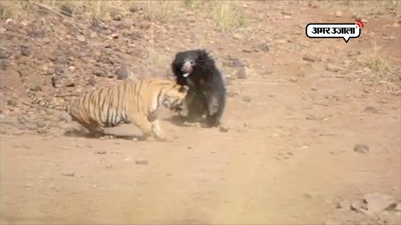 वायरल