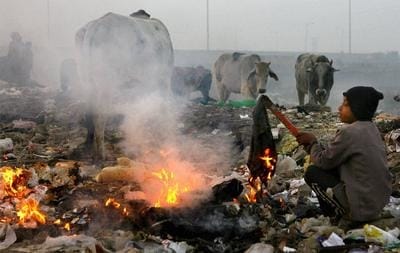 agra and many other cities were polluted on the occasion of holi