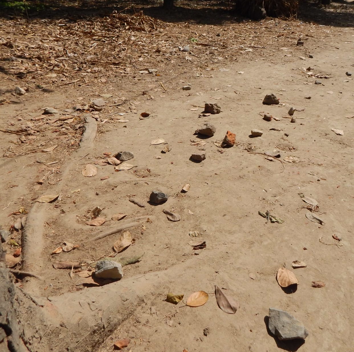 Brickbath walks, 18 injured wounds