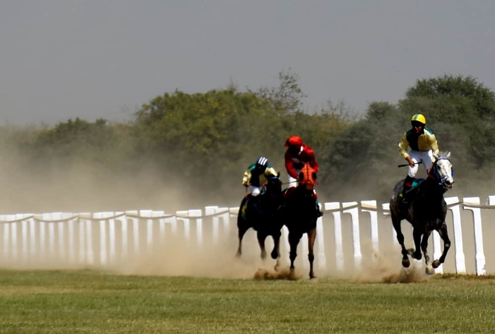 pics of race course in lucknow.