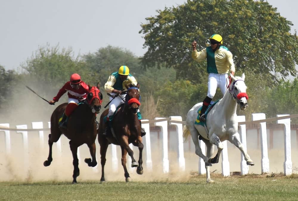 pics of race course in lucknow.