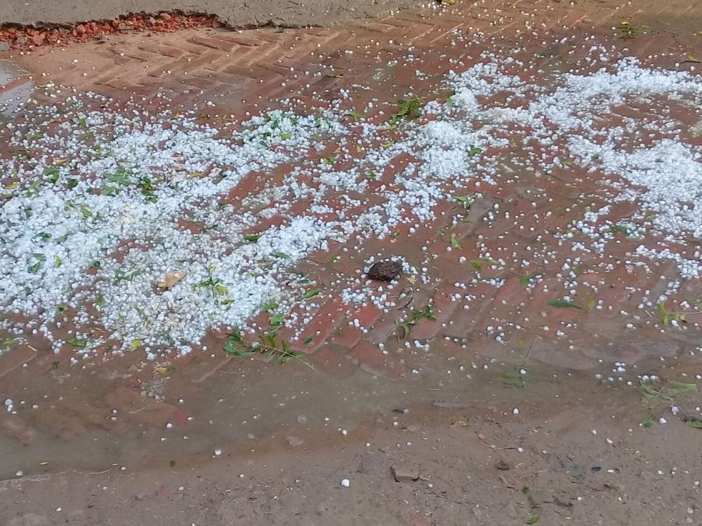 mathura loss of crops due to hail