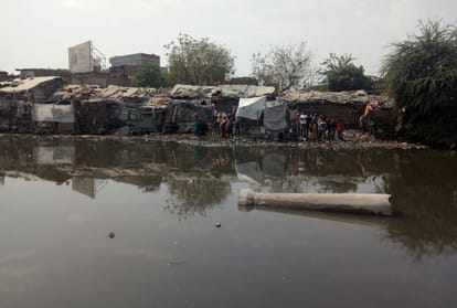 alligator found in kukrail lucknow