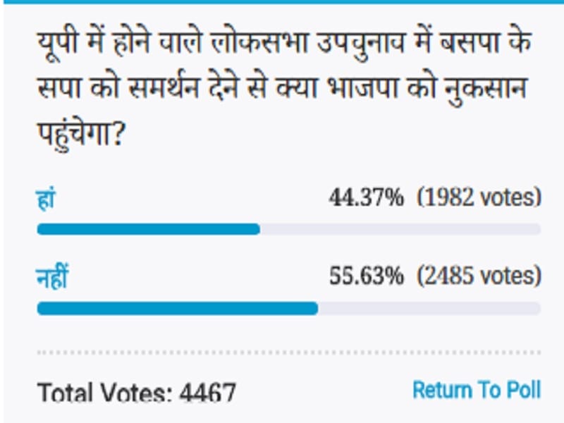 Amar ujala Poll: BSP And SP alliance will not harm for BJP in Upcoming UP Lok Sabha bypolls