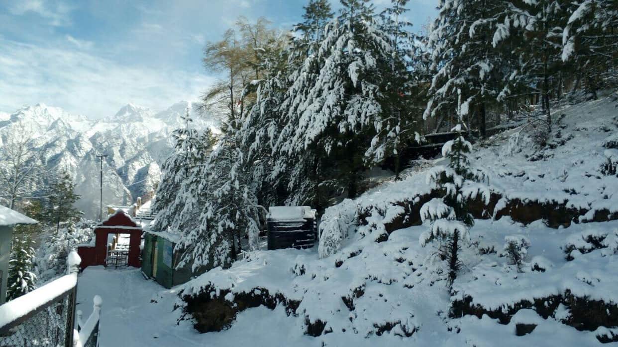 auli snowfall awesome photos