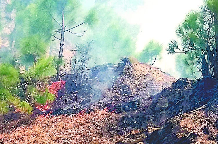 Forest fire reached near village