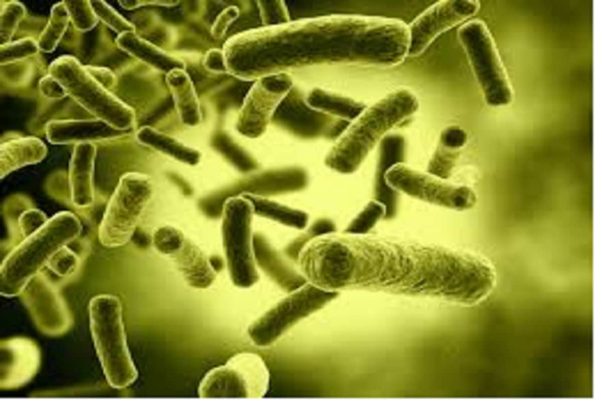 habit of eating food in bed is harmful for health it causes disease