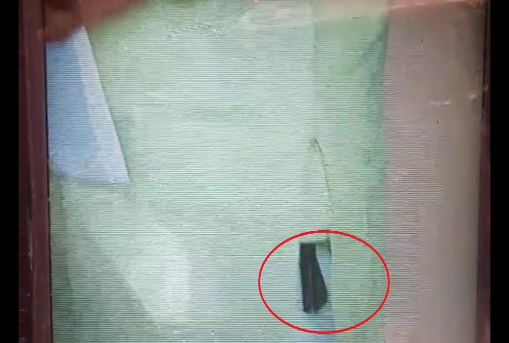rajasthan assembly session bsp mla entered in the assembly premises with pistol 