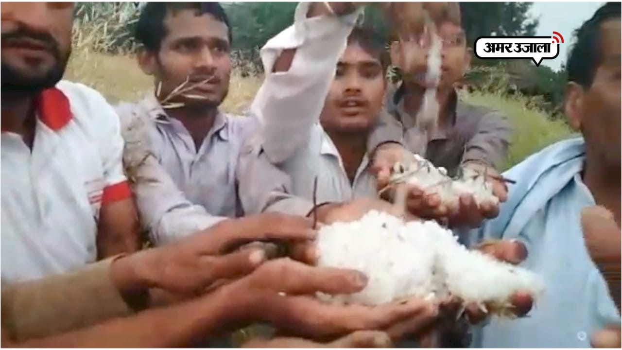 MATHURA