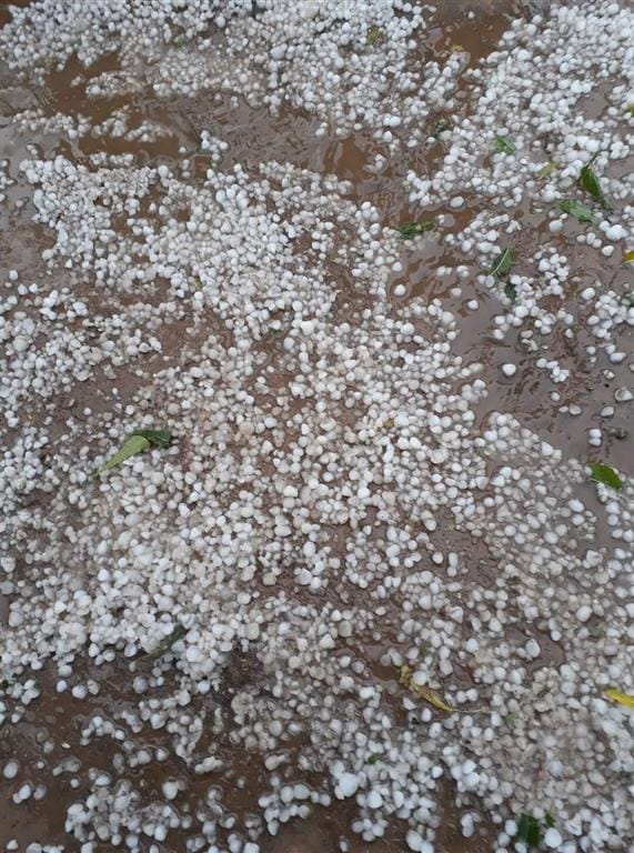Sky Disaster ... Wasted by Gale, Rain and Hail