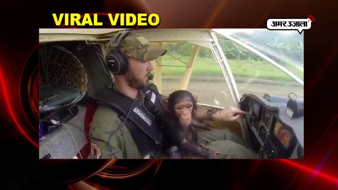 वायरल वीडियो 