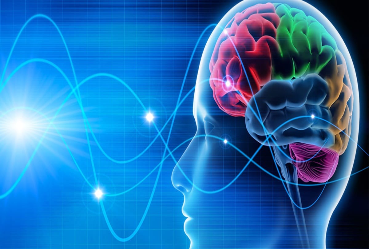 know How Your Brain Change with time