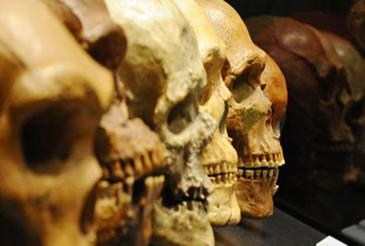 know How Your Brain Change with time