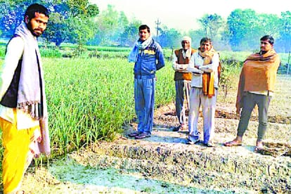 spray of cow urine is very useful for farming