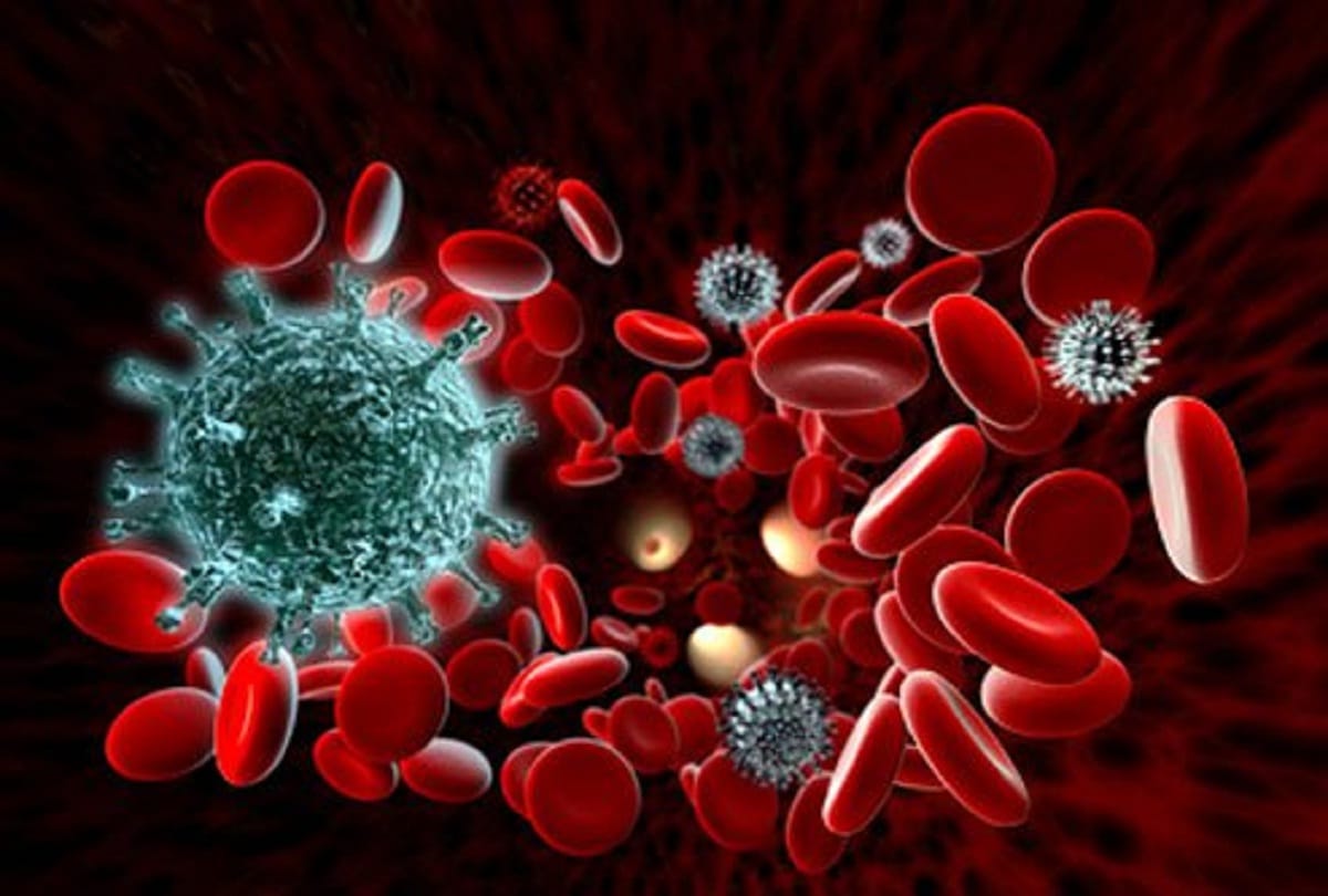 syphilis cure treatment doxycycline and everything to know about syphilis