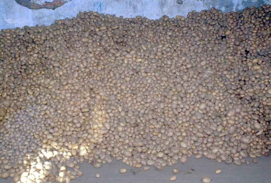 Potato chips