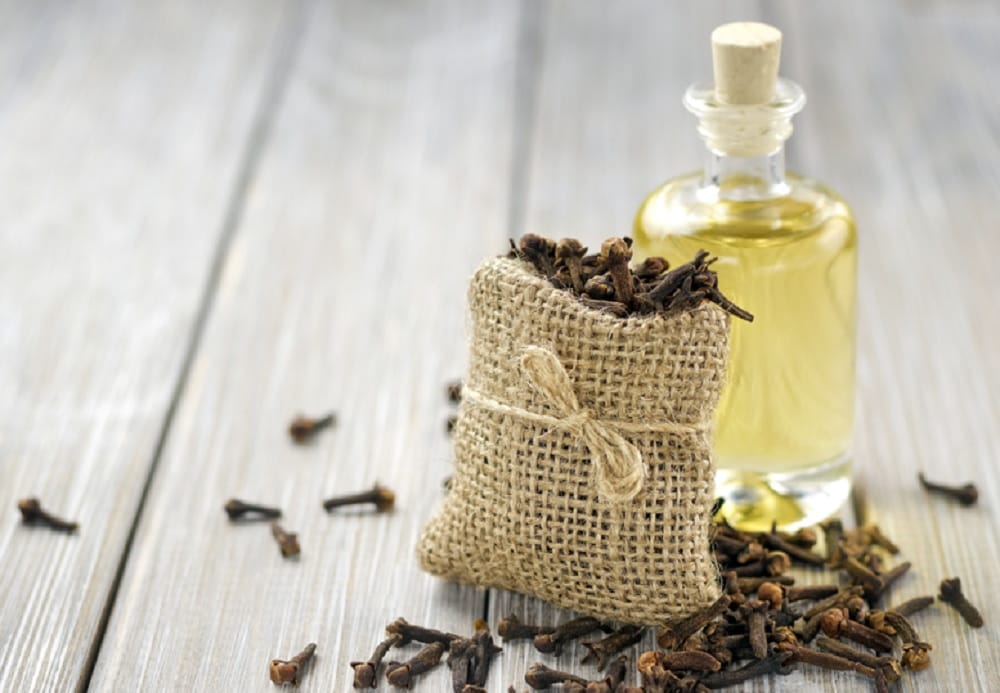 get rid of mosquitoes with these easy natural mosquito repellent remedies