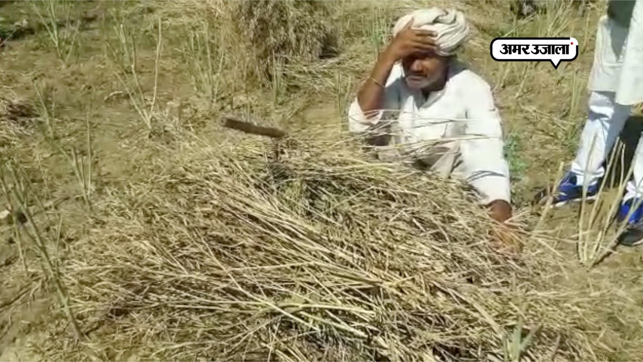 मथुरा