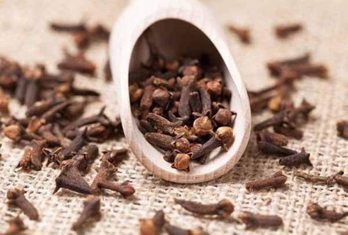 these five remedies of cloves are doing all the bad work