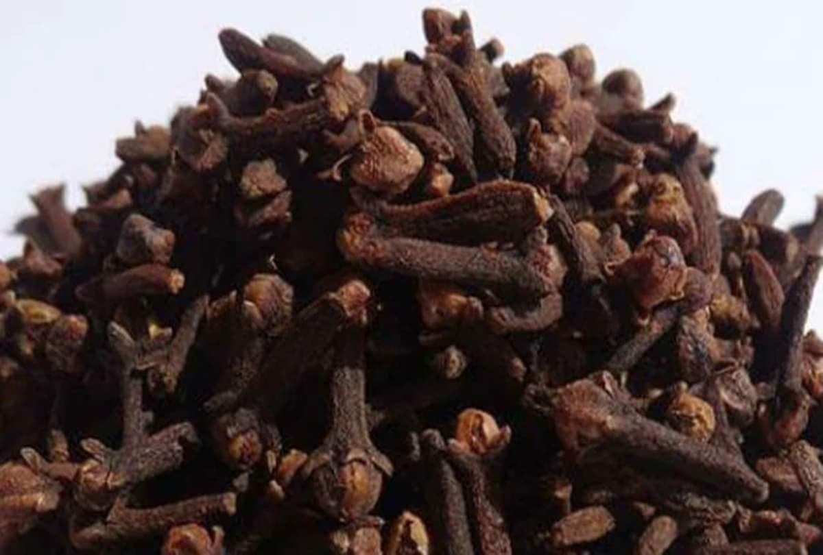 these five remedies of cloves are doing all the bad work