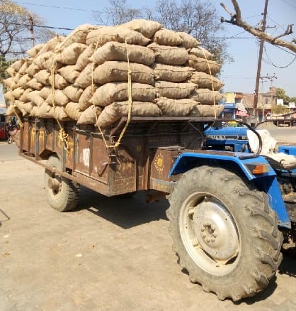 Potato prices soaring after holi