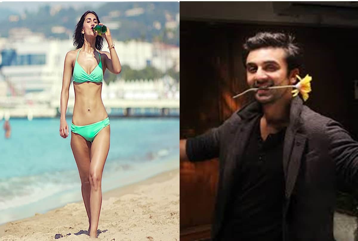 Vaani Kapoor will seen in Yash Raj Films with Ranbir Kapoor