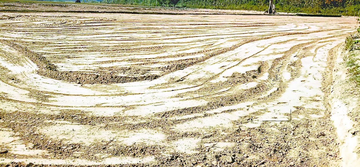मिट्टी की ढाय के नीचे दब कर बालिका की मौत, तीन घायल