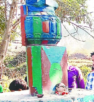 ambedkar ki pratima shatigrast