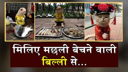 a cat selling fish on vietnam street