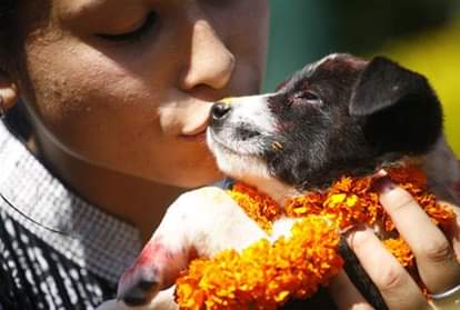 dog can lower the negative effect of rahu and ketu