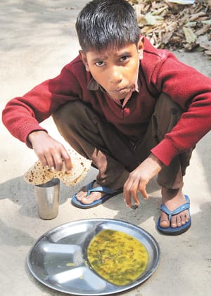 probe in mid-day-meal