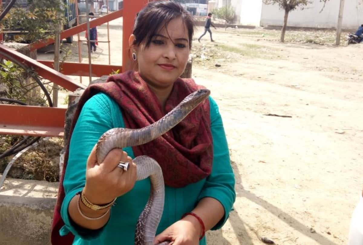 lucknow lady shaba working for animals
