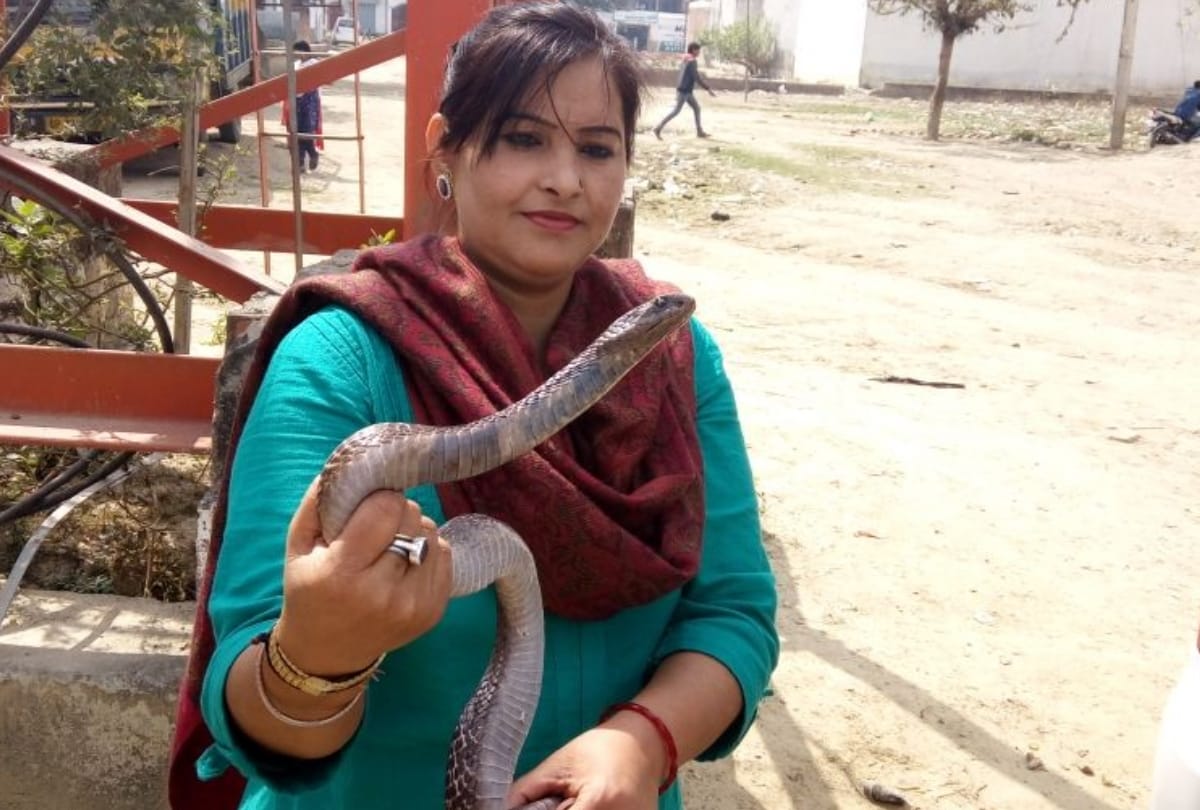 lucknow lady shaba working for animals