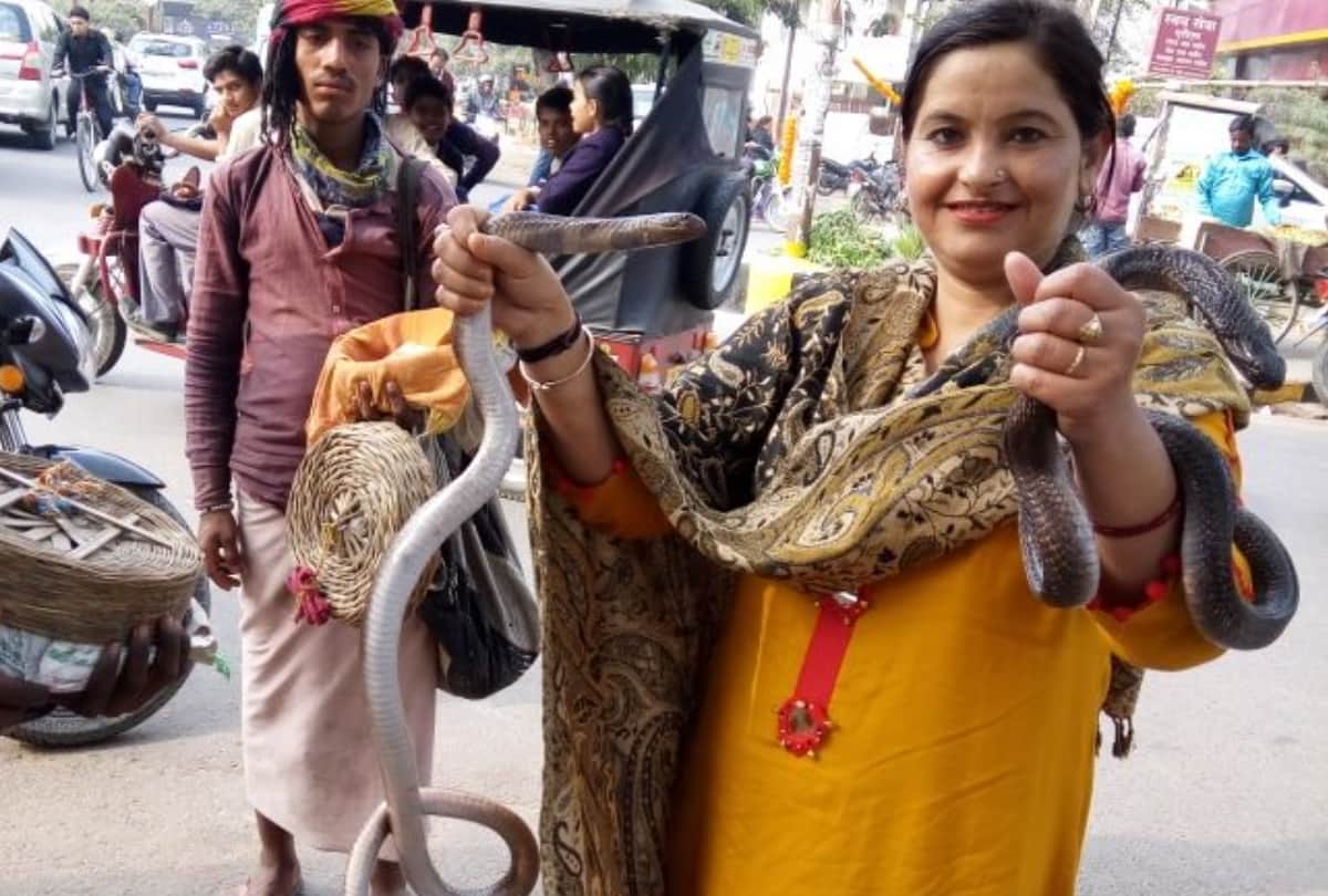 lucknow lady shaba working for animals