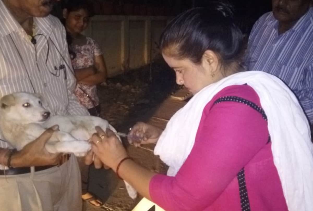 lucknow lady shaba working for animals