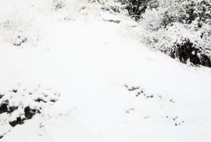 snowfall and rainfall prediction for himachal pradesh