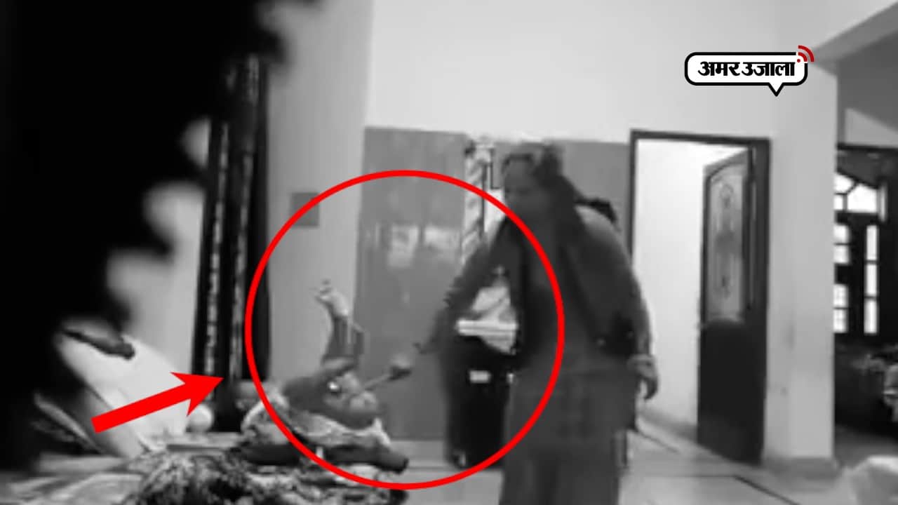 वायरल वीडियो 