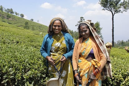 internation women's day : increased percentage of equality 