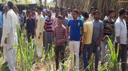 Secret letter in opens the brother murder plot, read the full news in one click
