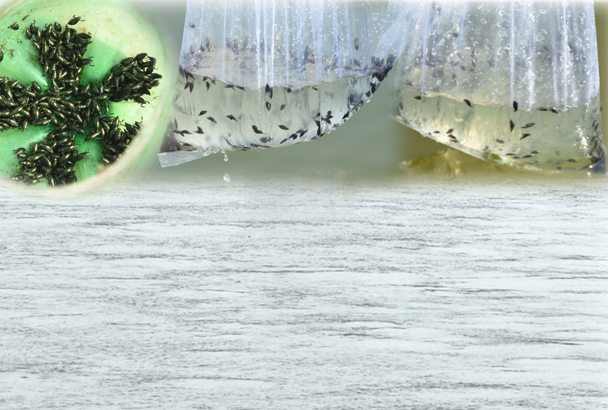 Central pollution control board inspects Ganga water