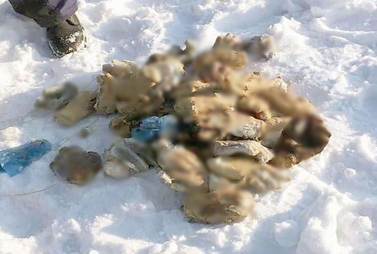 Mysterious bag found containing with fifty four scary human hands discovered