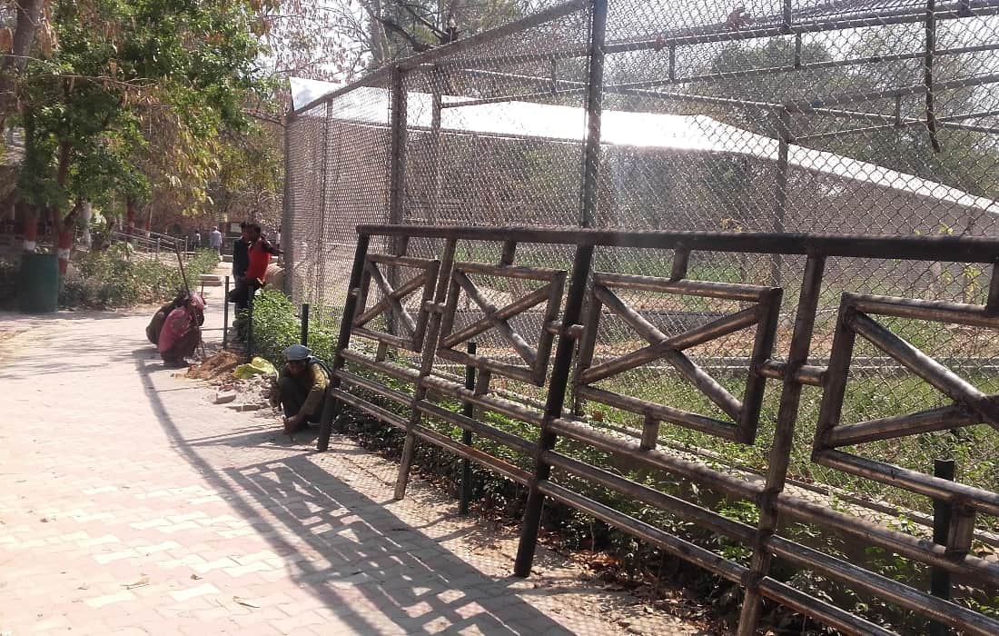 exchange of jungle cat from visakhapatnam zoo to lucknow zoo