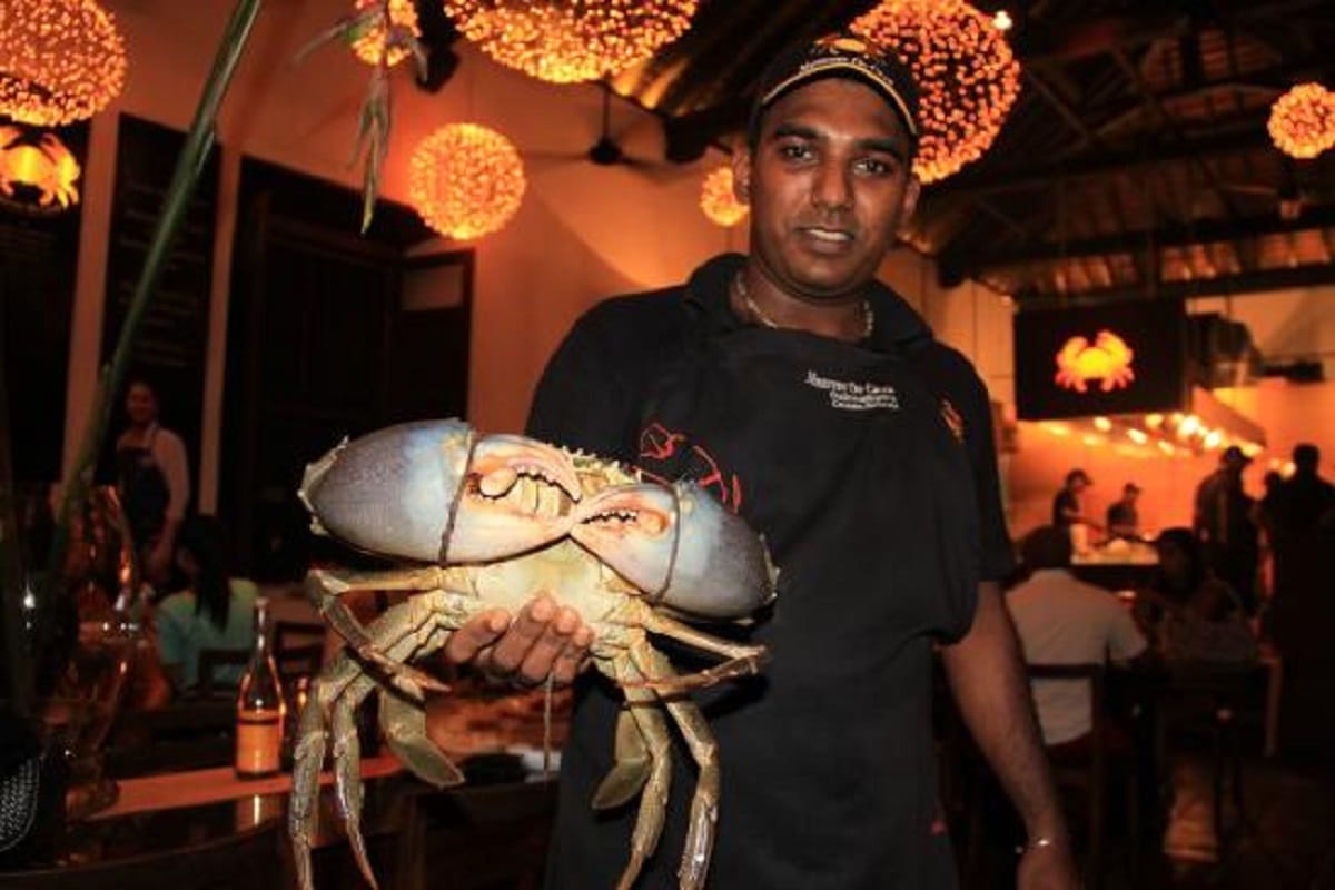 Brett Lee Enjoyed feast in Kumar Sangakra and Mahela Jayawardene's restaurants
