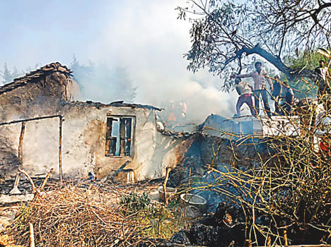 Two cattle burnt alive in seven houses