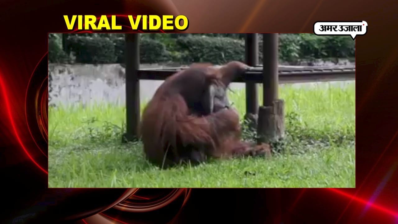 viral video