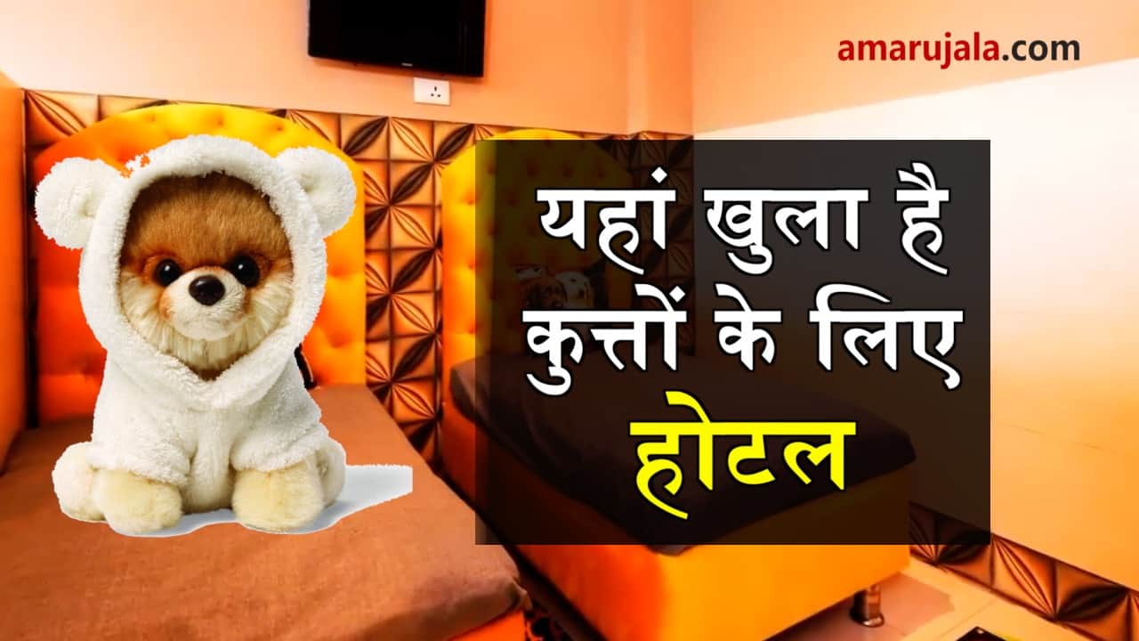 dog hotel in gurugram